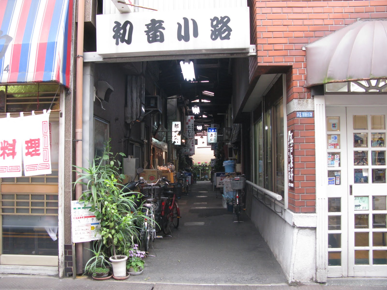 [IMG_9373.JPG]