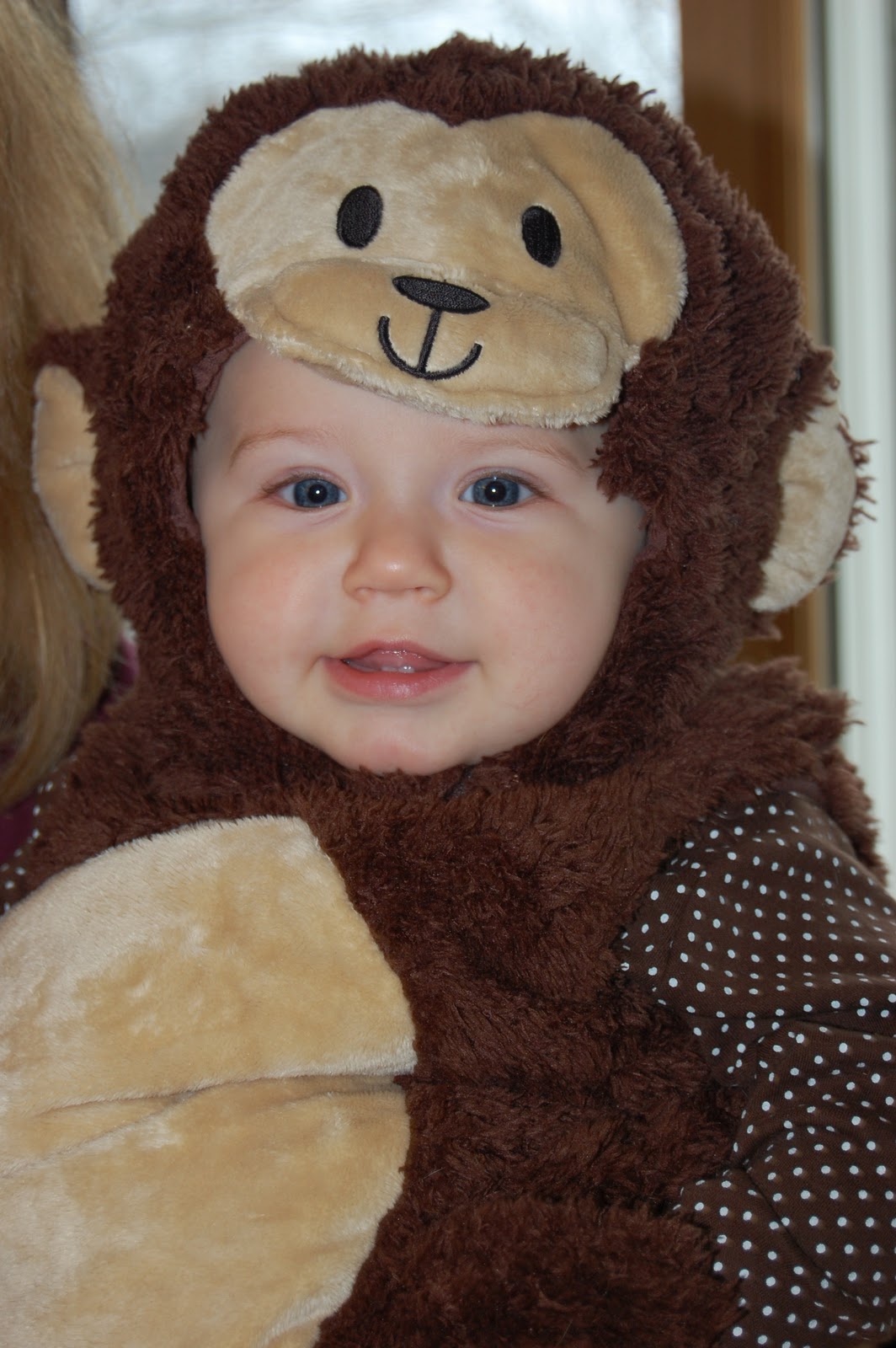 Monkey Costume Ideas