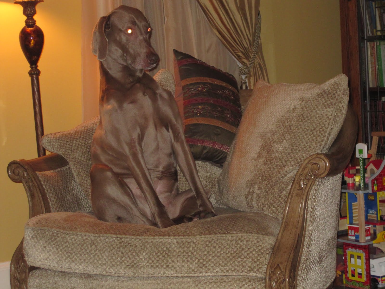 [March+2010+037.JPG]