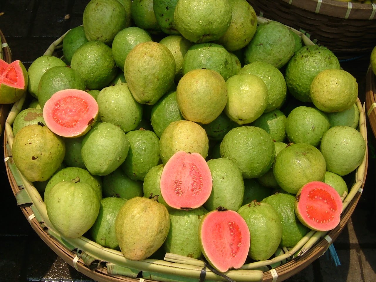 The Goodness Of Guava Sumandak Kinabalu Little Corner