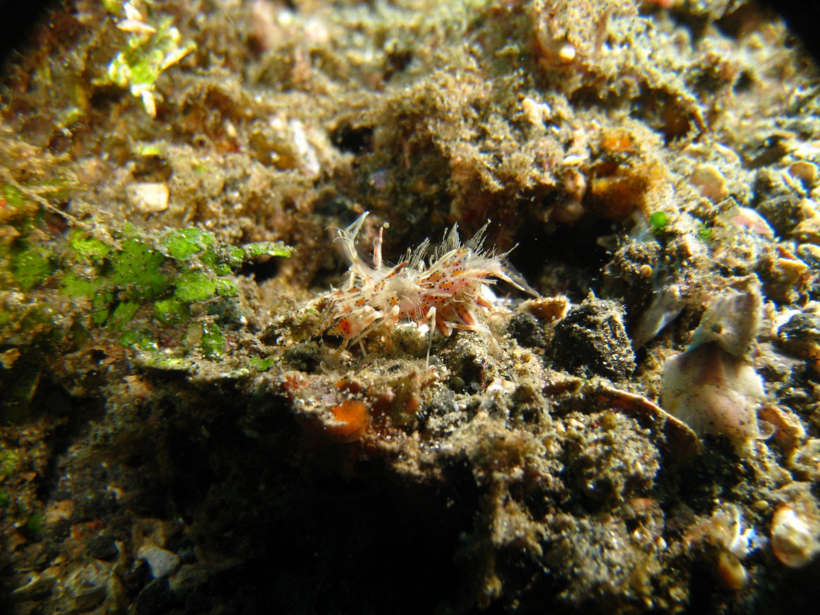 [IMG_1933.JPG]