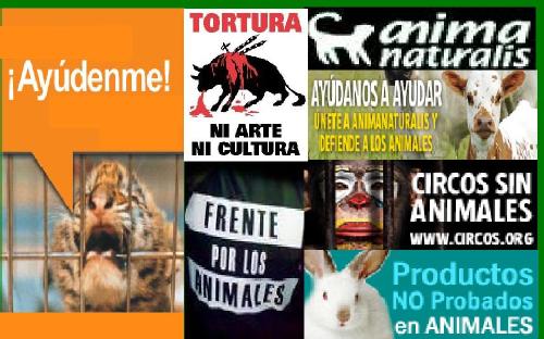 anima naturalis ( www.animanaturalis.org)