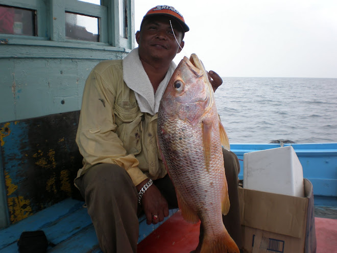 KEINDAHAN DIPULAU TIOMAN