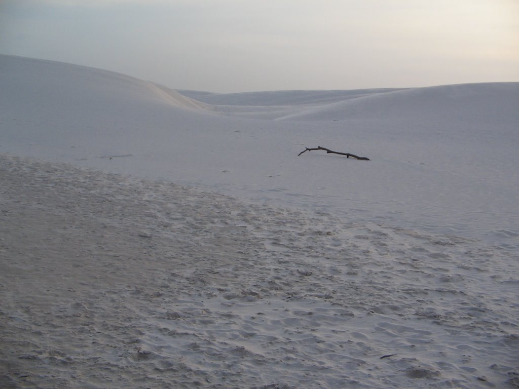 [IMG_1354.JPG]