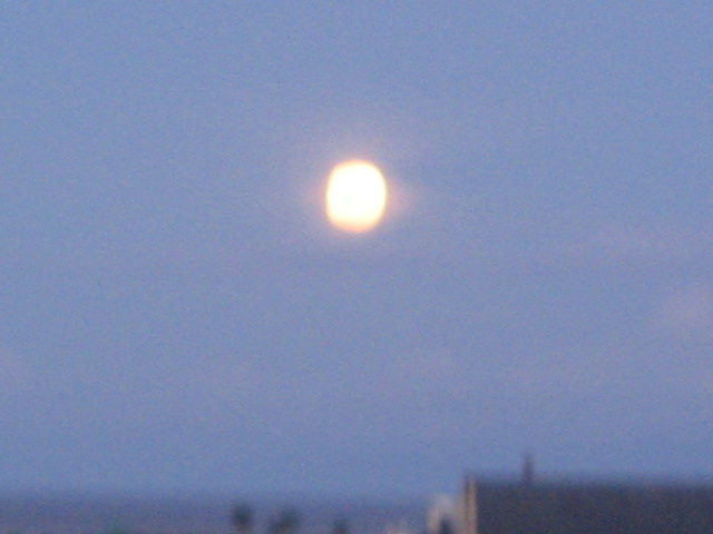 [IMG_0993.JPG]
