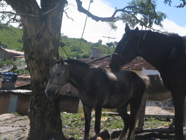 [IMG_0845_2.JPG]