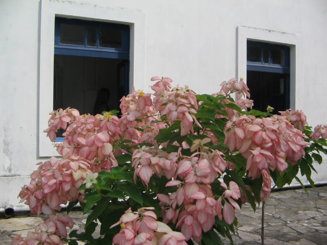 [IMG_9201.JPG]