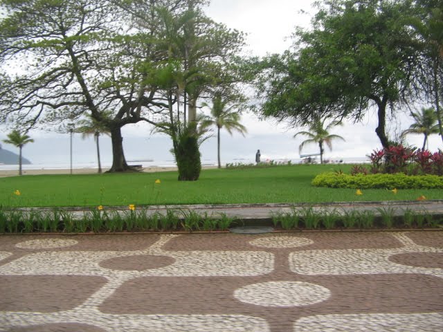 [IMG_3181.JPG]
