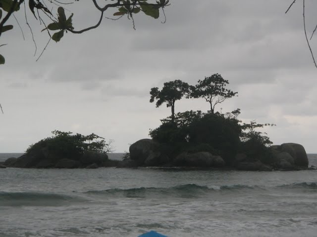 [IMG_3355.JPG]