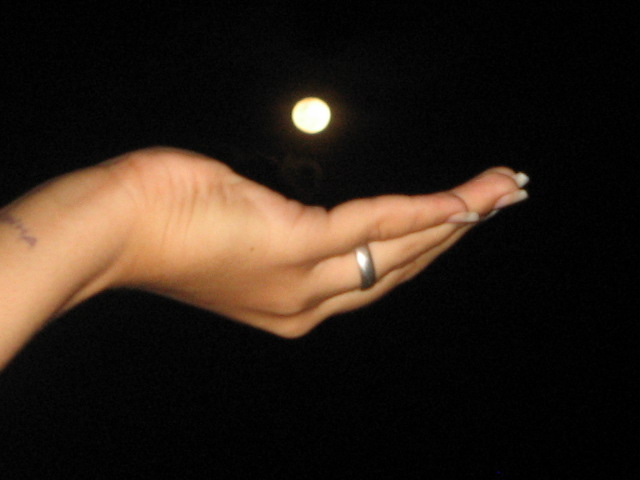 [IMG_9406.JPG]