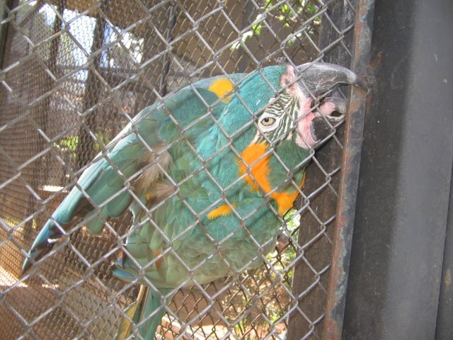 [IMG_0167.JPG]
