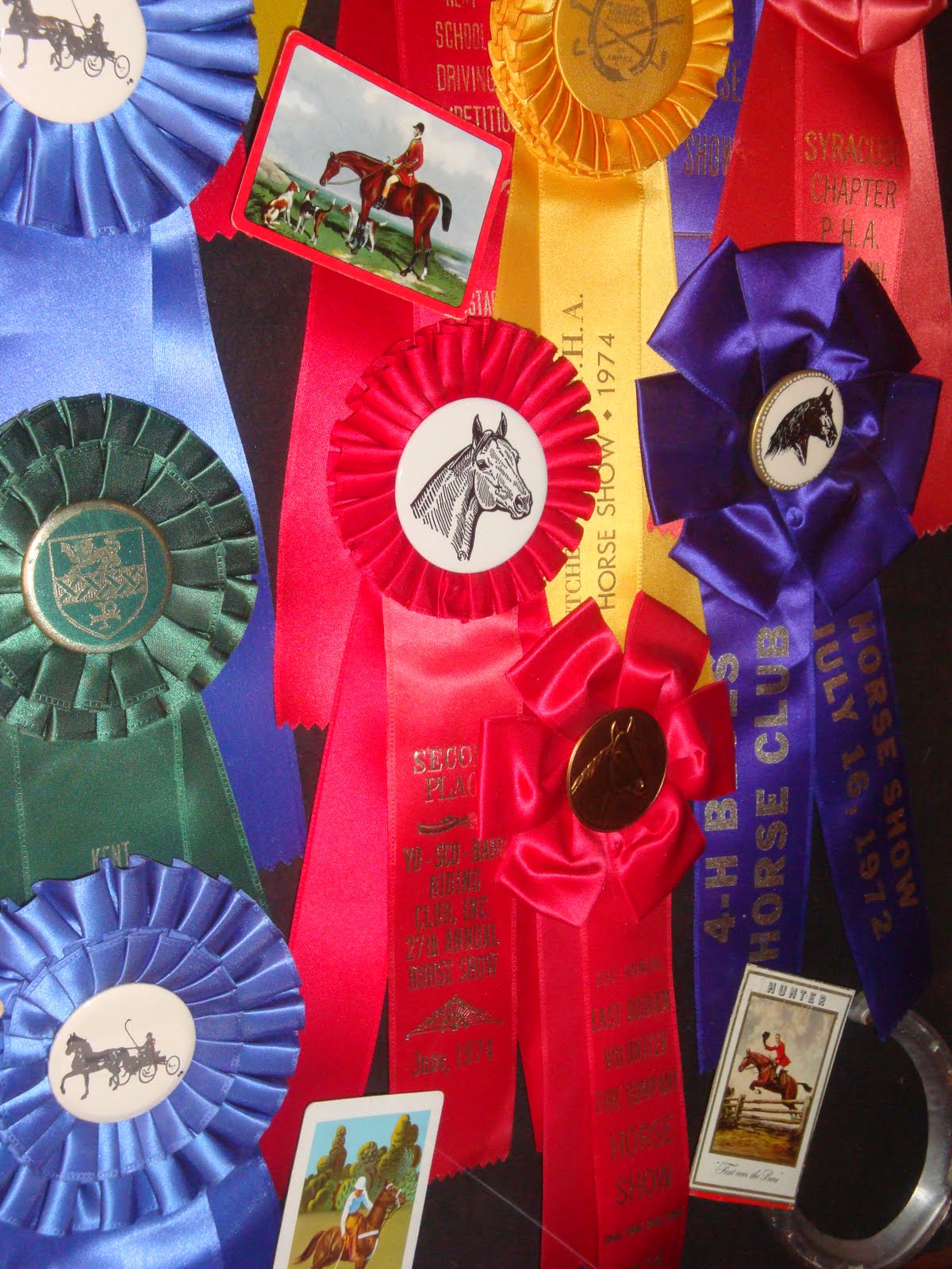 blue cardinal Decorating with Horse Show Ribbons