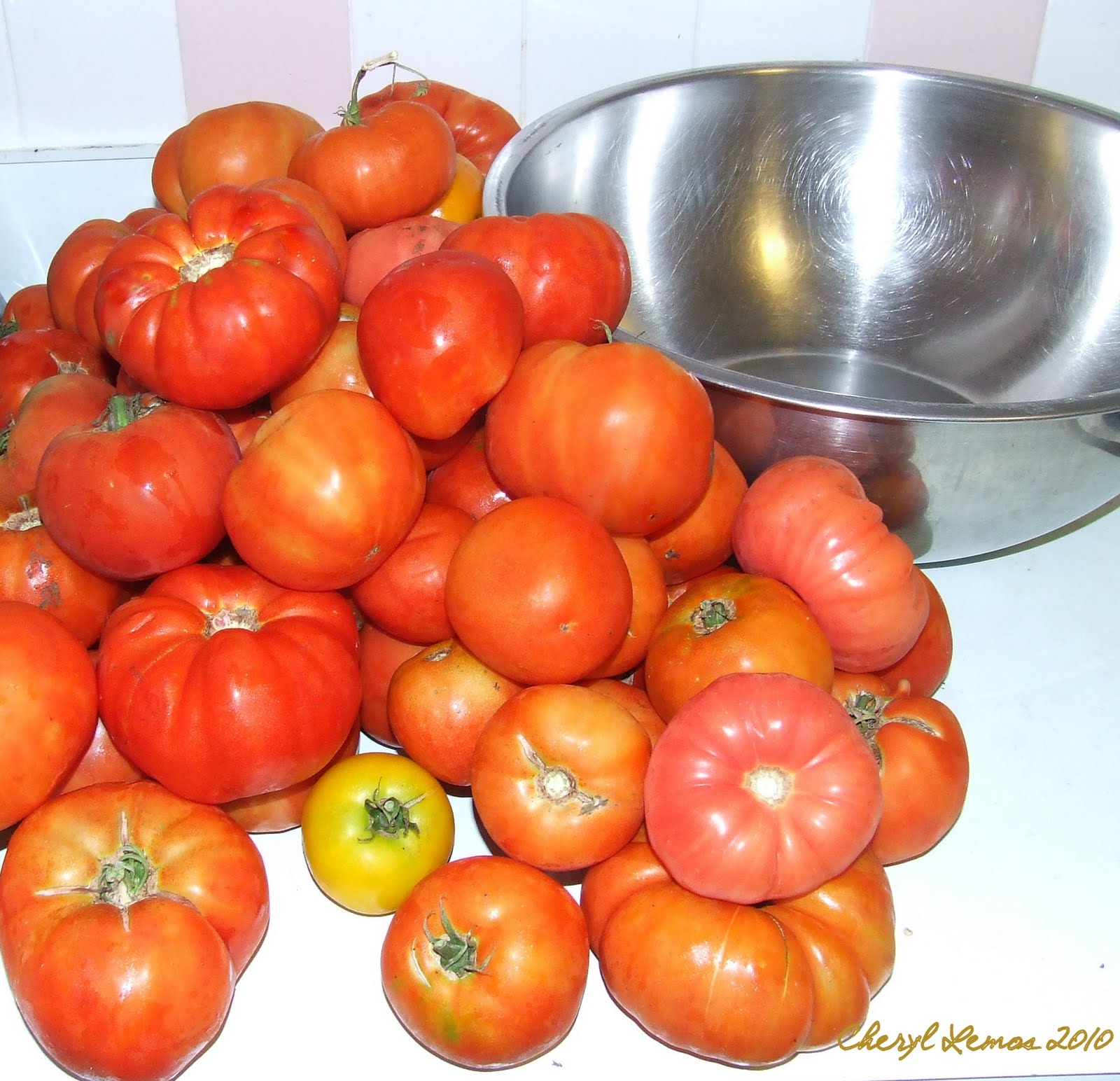 Stuff by Cher Drunk as a skunk