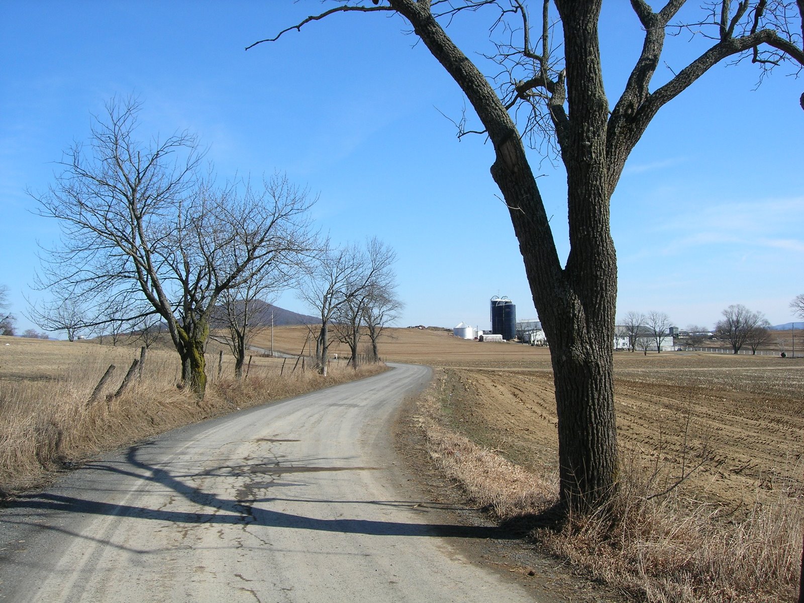 [DSCN0830.JPG]