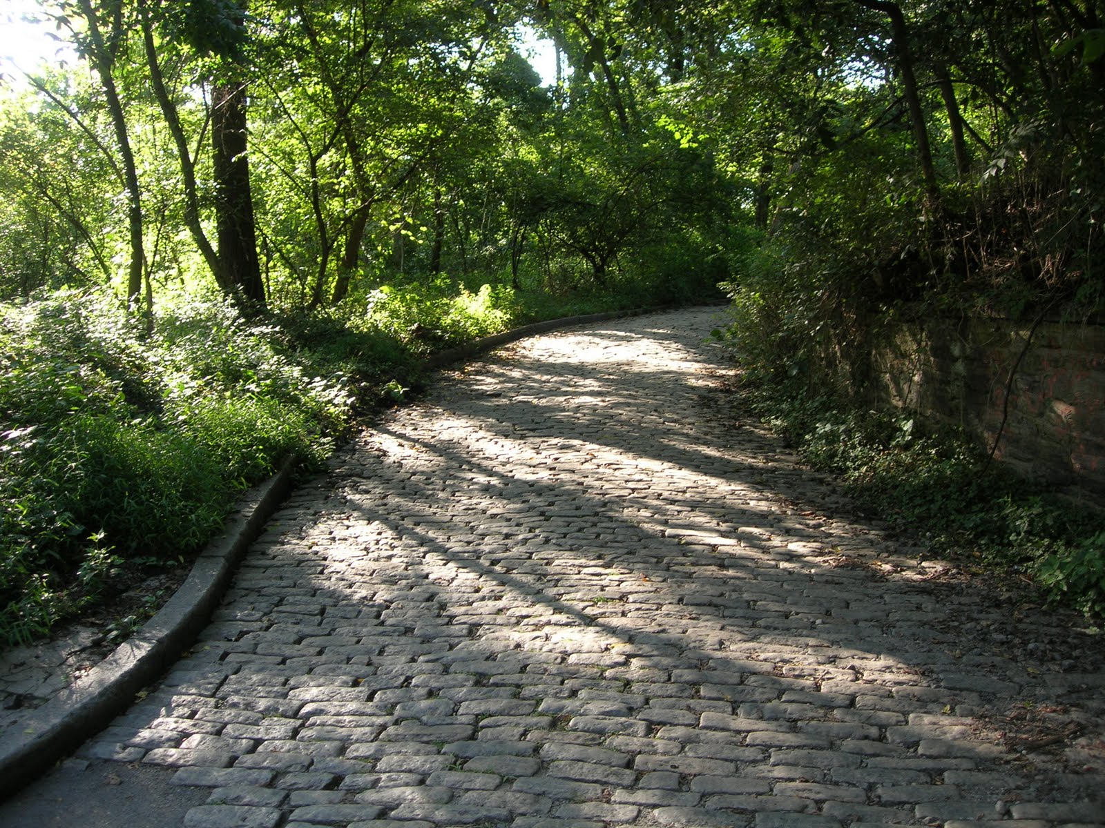 [DSCN1089.JPG]