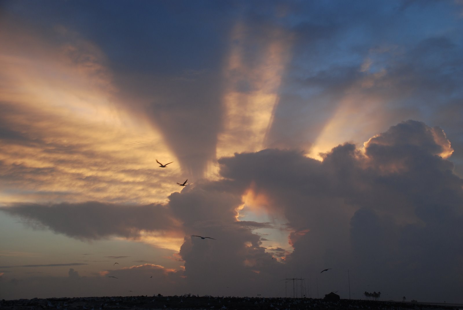Sunrise on Clipperton
