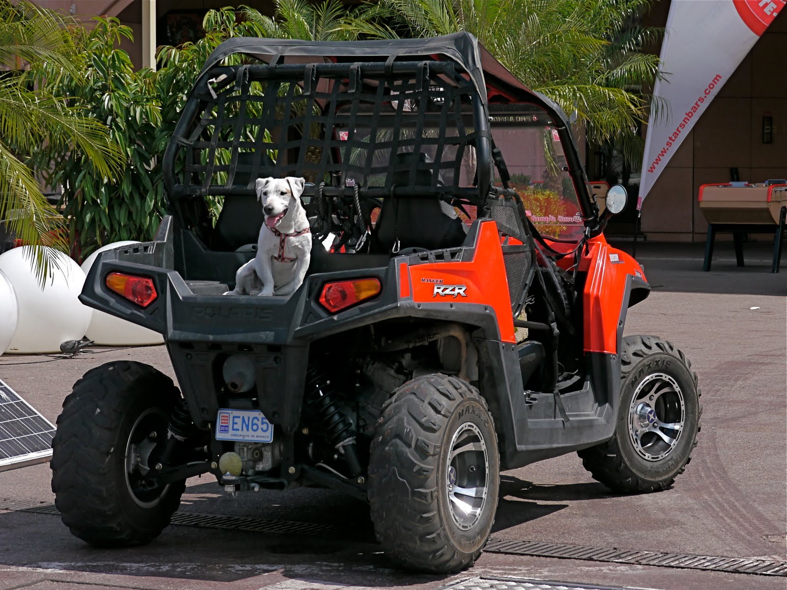 Monte Carlo Weekly Photo The Ranger RZR by Polaris + Dog