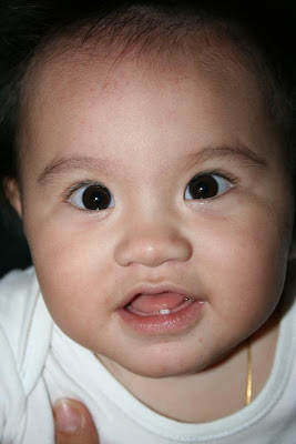 baby with one tooth