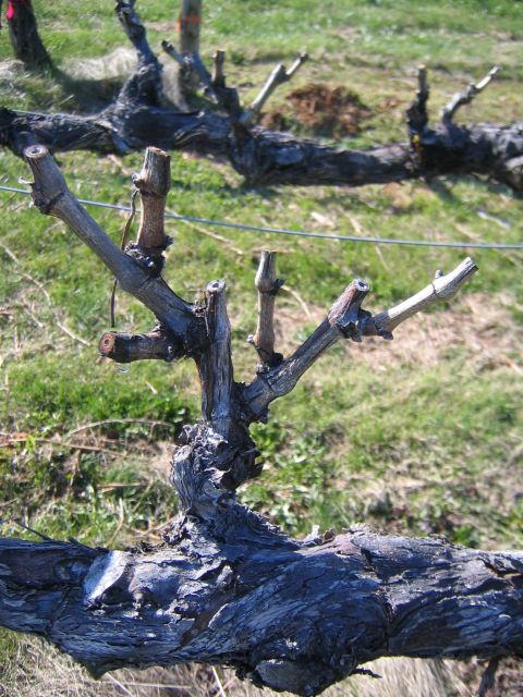 [April+09+002+Cabs.jpg]