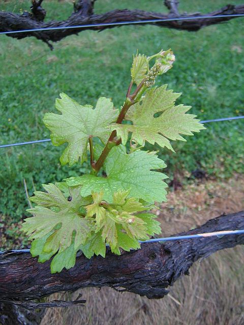 [2009+04+360+Cab+s.jpg]