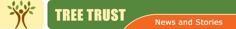 Tree Trust News and Stories
