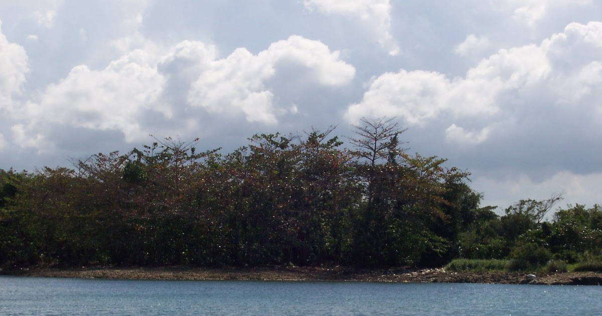 PUERTO RICO GALLERY Lago Guerrero