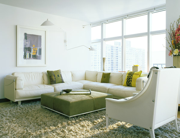 Stylish modern living room