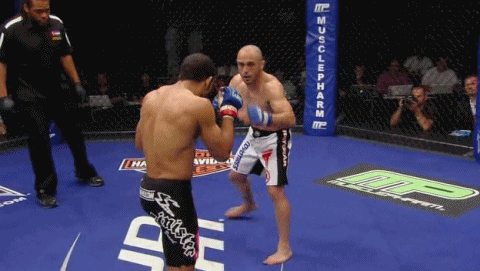 Aldo+GIF+Gamburyan+1.gif