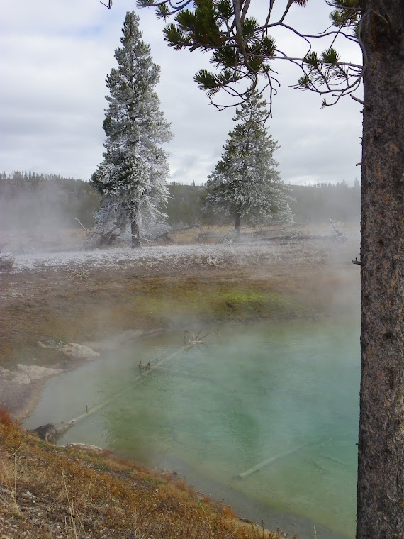 Une source d'eau chaude - Yellowstone National Park