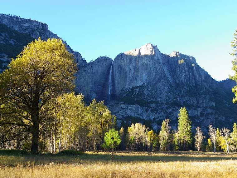 Yosemite National Park - Californie
