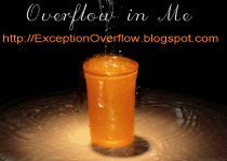 ExceptionOverflow