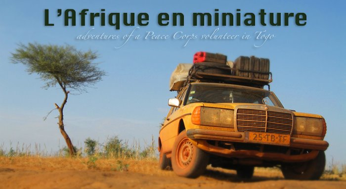 L'Afrique en miniature