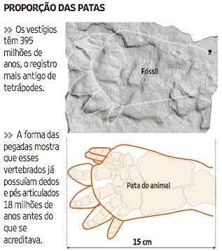 [pegada-tetrapode.jpg]