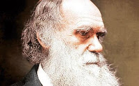 Sondagem Darwin Poll
