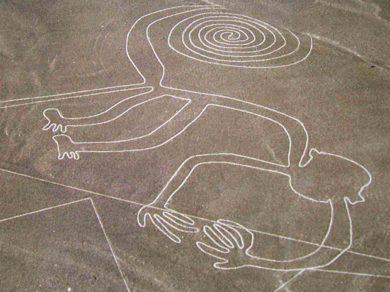 [monkey_nasca.jpg]