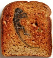 Darwinius masillae - Ida - toast