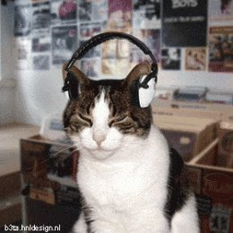 Cube Lap Dance pour Fripouille!!!  Cat_listening_to_music