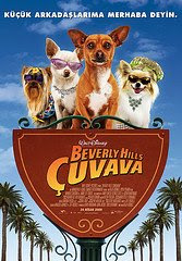 Beverly Hills Çuvava - Beverly Hills Chihuahua