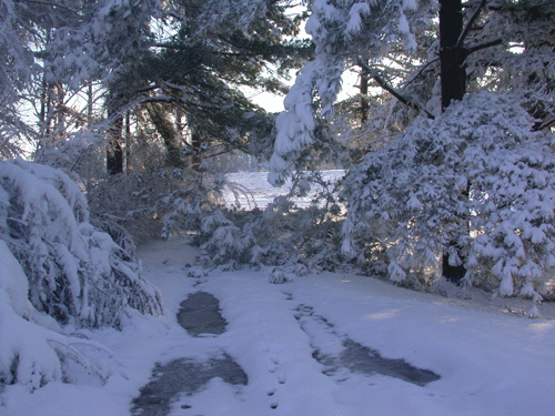 [Driveway.gif]