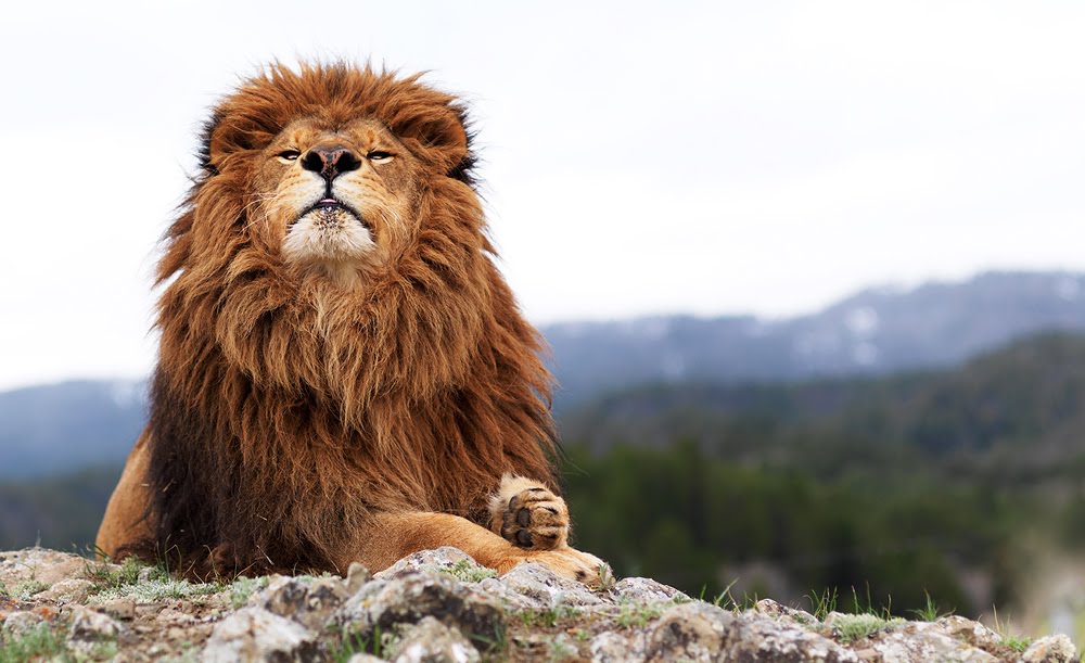 [securedownload-1.jpeg]