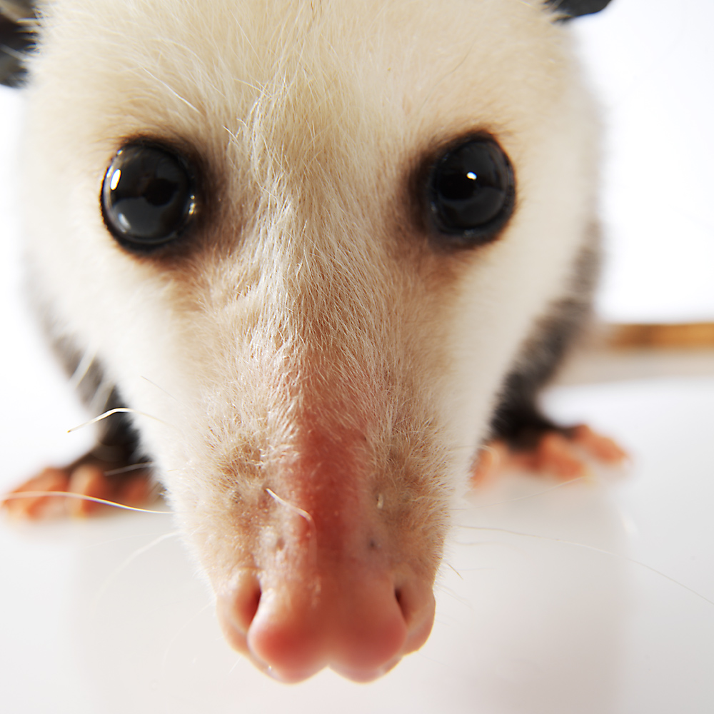 [securedownload-15.jpeg]