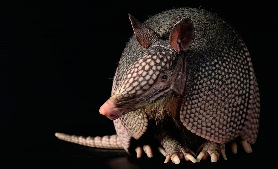 [securedownload-3.jpeg]