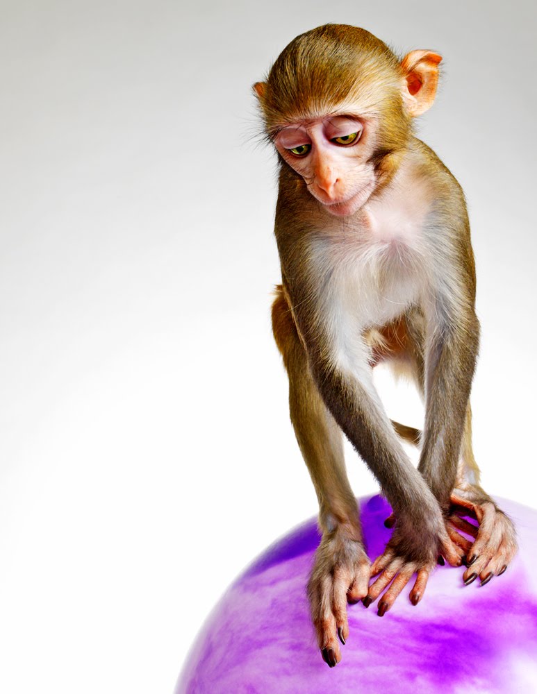 [securedownload-17.jpeg]