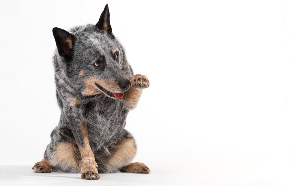 [securedownload-11.jpeg]