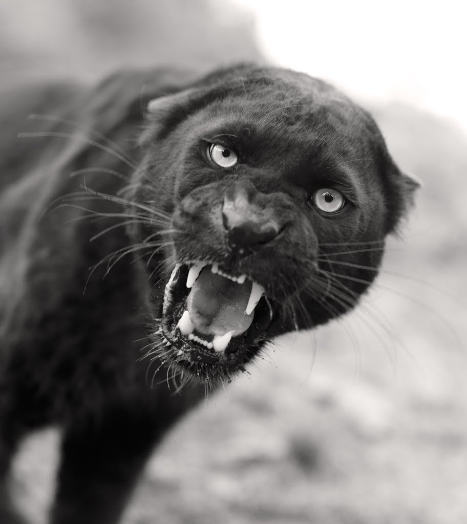 [securedownload-18.jpeg]