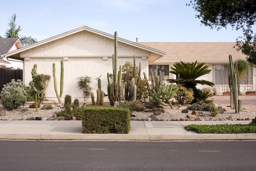 [090228-090226-0004.jpg]