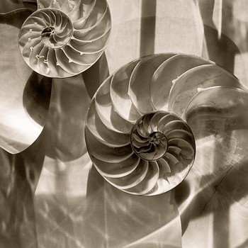 [33057_mediumlarger.jpg]