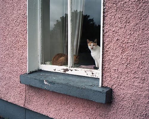 [shanelavalette_slinaboirne10.jpg]