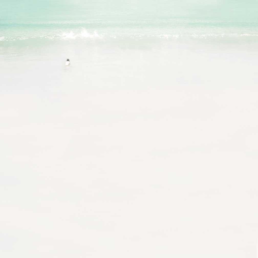 [securedownload-1.jpeg]