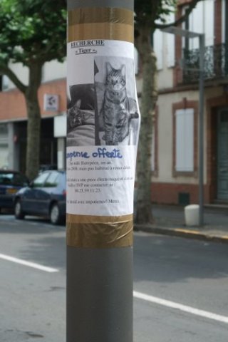 [phoca_thumb_l_2.jpg]